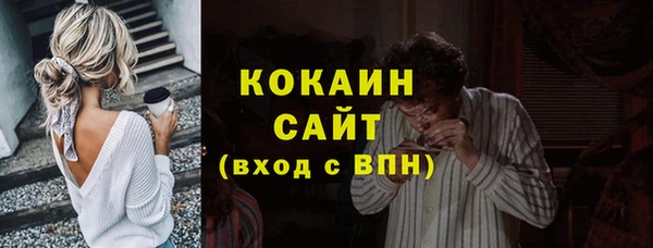 PSILOCYBIN Богородицк