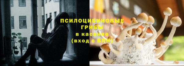 прущие крисы Алексин