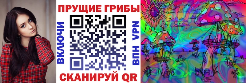 как найти   Урюпинск  это Telegram  Псилоцибиновые грибы мухоморы 